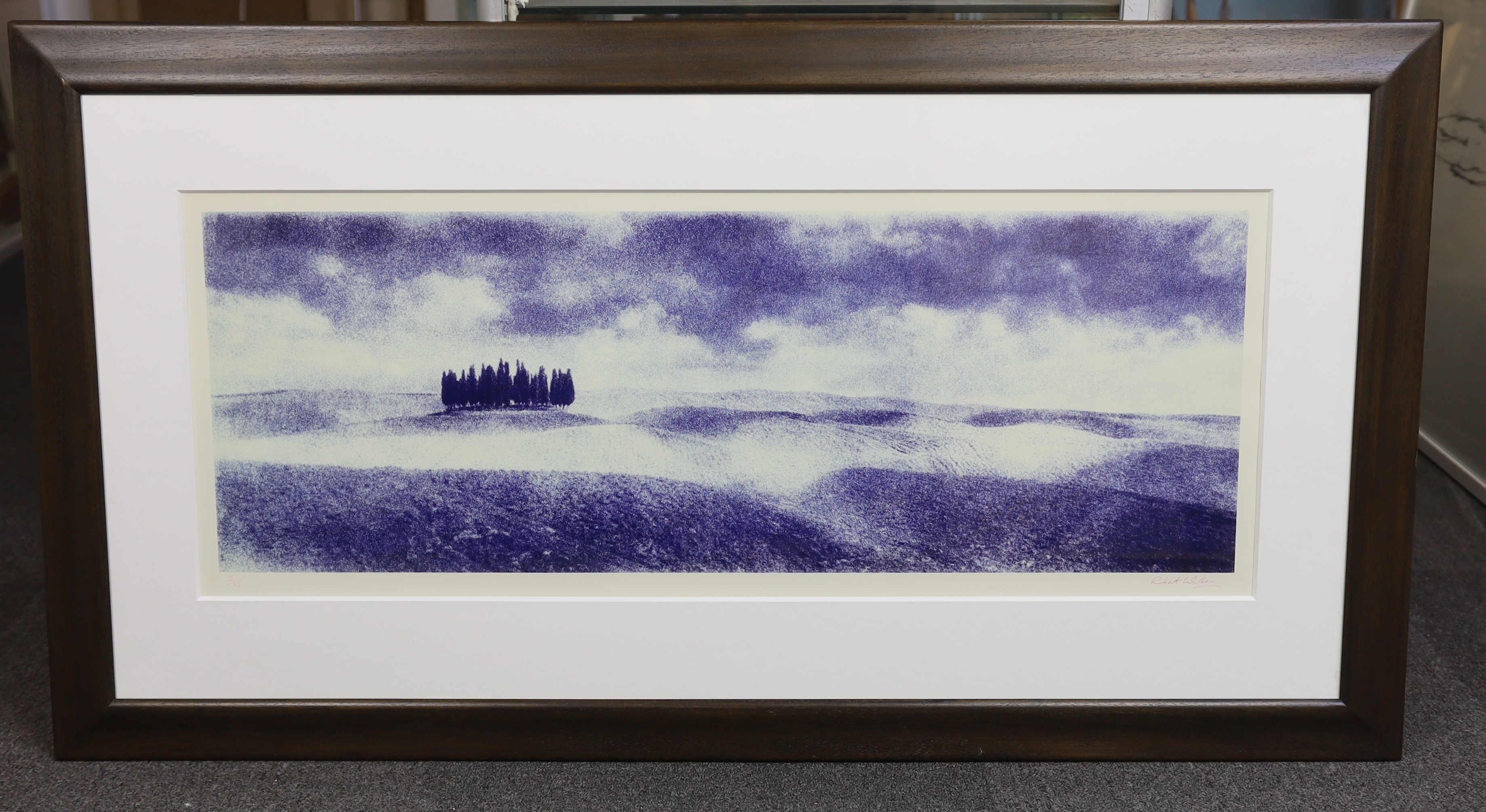 Robert Walker (Contemporary), photograph, Blue trees in a landscapes, signed, 2/25, 36 x 93cm